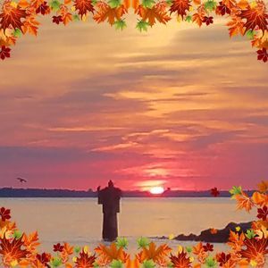 Meet your Posher, Betsy